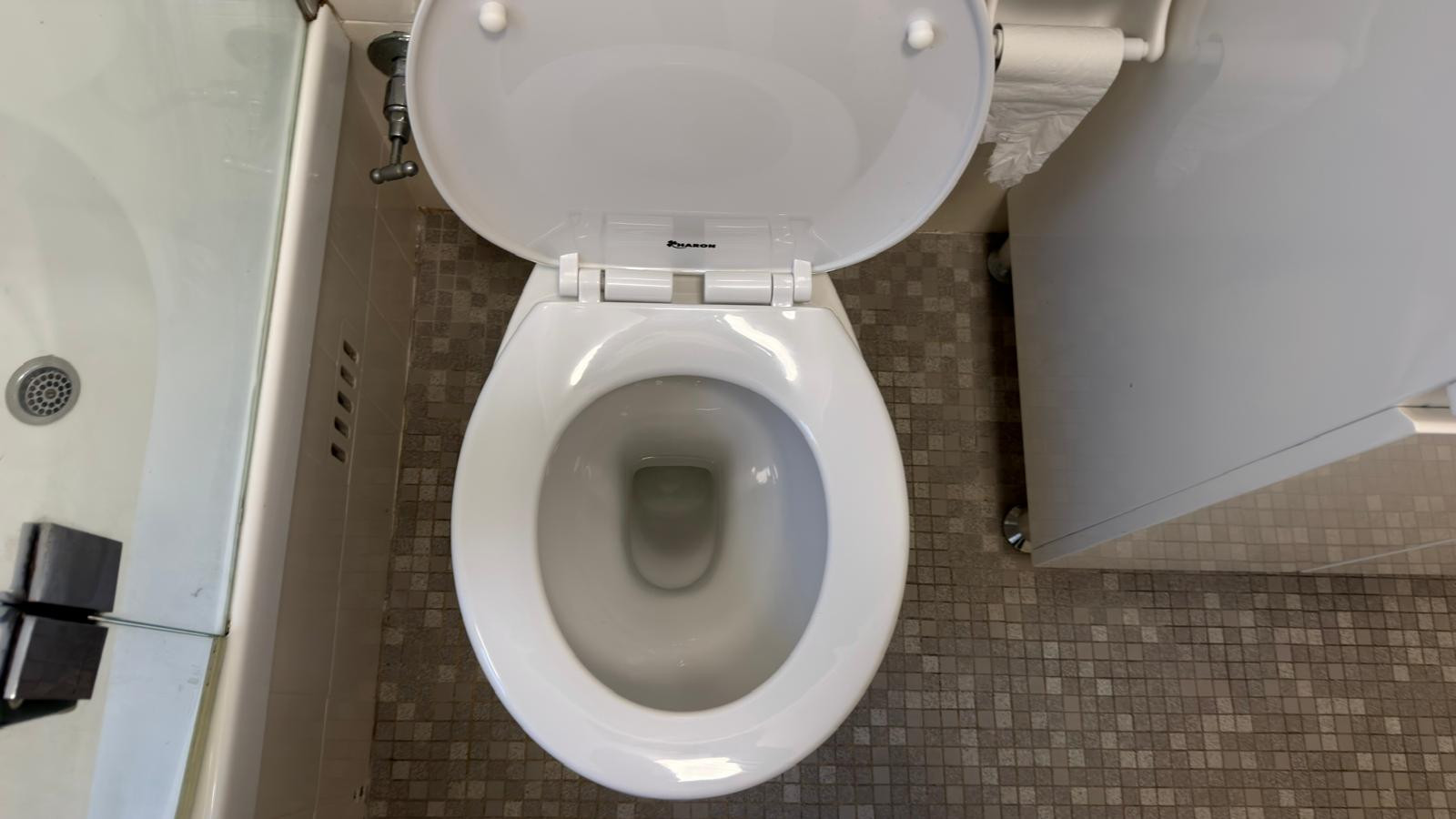 Toilet bowl and seat in a tiled bathroom